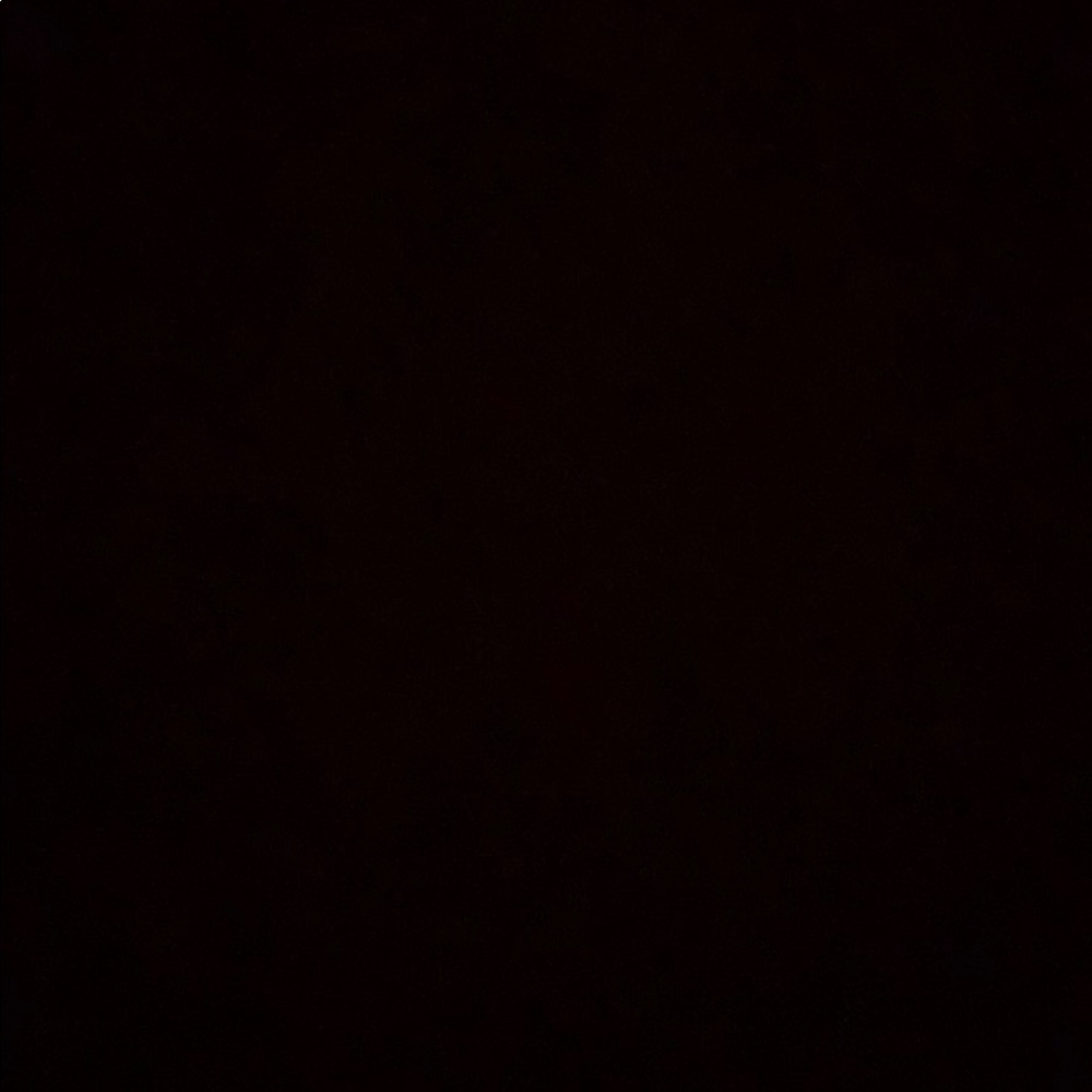 Meet your Posher, Rocco